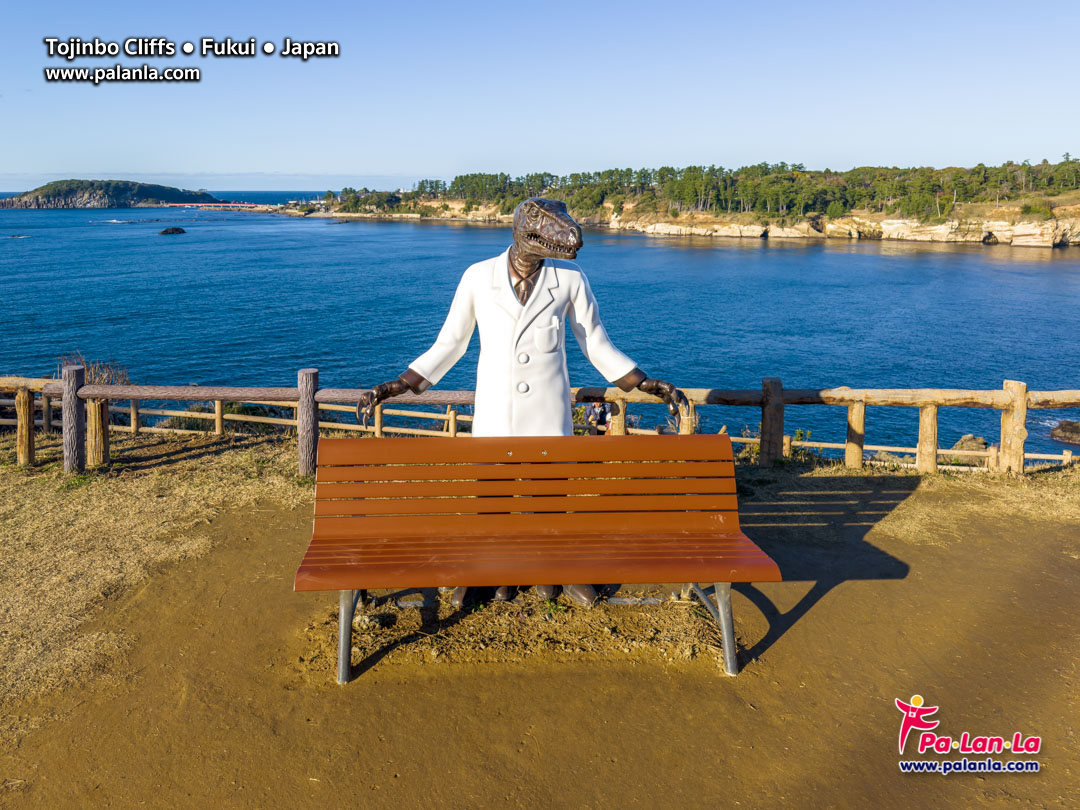 Tojinbo Cliffs